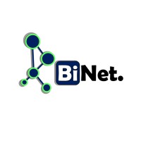 BiNet Analytics logo - Similar company to Apts