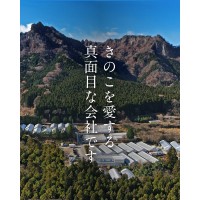 Myogi Navafarm JP