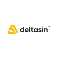 Deltasin A.Ş. logo - Similar company to Clervo
