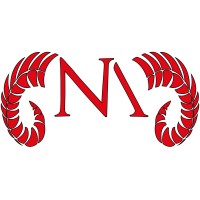 Noa Monn Studios logo - Similar company to Psw Haustechnik Ag