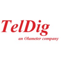 TelDig Inc. logo - Similar company to Linewatch