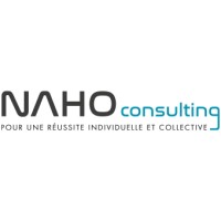 NAHO consulting logo - Similar company to Wise Twin