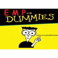 Emp For Dummies