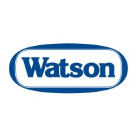 Watson Inc logo - Similar company to Mountain Data Group