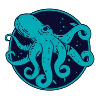Kraken Network logo - Similar company to Kraven Security