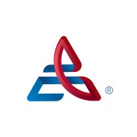 Ansari Consulting Group logo - Similar company to Luxemaven Solutions