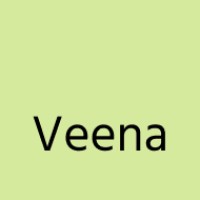Veena Technology Services logo - Similar company to Seethos Ai