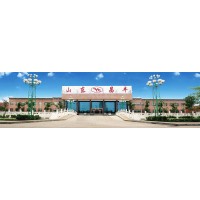 Shandong Changfeng Tyres Co., Ltd. /Hengfeng logo - Similar company to Casa Da Borracha