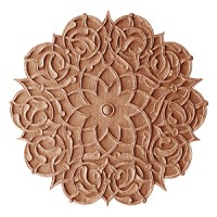 International Anthropology