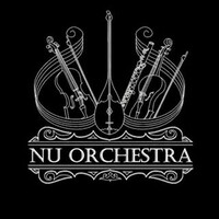 NU Orchestra logo - Similar company to Nu Spe Sc