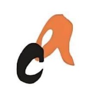 Centre for Alternatives (CA) logo - Similar company to Management And Resources Development Initiative (Mrdi)