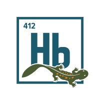 Hellbender Inc. logo - Similar company to Kef Robotics