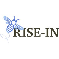 RISE-IN logo - Similar company to Dti Cyber Gmbh