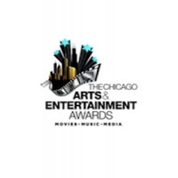 Chicago Arts & Entertainment Council logo - Similar company to Unity Fine Arts & Design