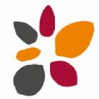 Tf Securities Co. Ltd