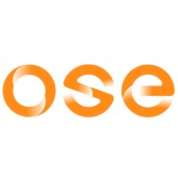 OSE Constellation logo - Similar company to Turquoise International