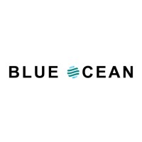Blue Ocean Systech Pvt Ltd logo - Similar company to Apex Infocom Technology