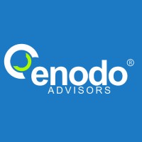 Enodo Advisors logo - Similar company to Mercury Computer Business Solutions