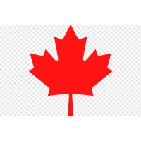 Work in Canada: Canadian Work Permit & Visa Process logo - Similar company to Work In Canada