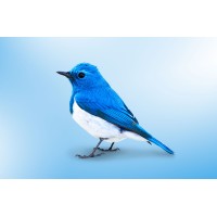 Career Twitter logo - Similar company to Hauppauge Computer Works
