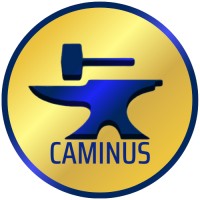 Caminus Consulting logo - Similar company to Coutts And Co
