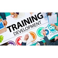 Training and skill development logo - Similar company to Madarej Al-Elm