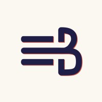 Blizzart logo - Similar company to Placebo Studio
