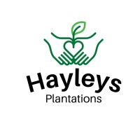 Hayleys Plantations logo - Similar company to Kvpl