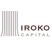 Iroko Capital logo - Similar company to Fluide Technologies