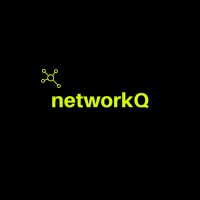 networkQ Consultancy logo - Similar company to Singularity Systems, Llc