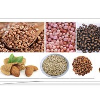 Amisy Shelling Machinery logo - Similar company to Gelgoog Fruit & Vegetable Processing