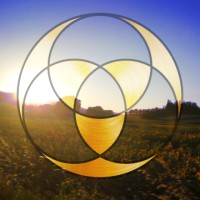 Alchemy School of Healing Arts logo - Similar company to Luminary Grove