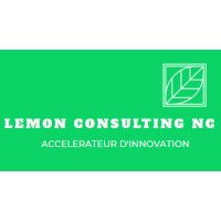 Lemon Consulting NC logo - Similar company to Digibarre