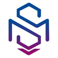 Şahmat Akademi logo - Similar company to Disquerouge