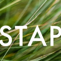 STAP inspirerend coachen logo - Similar company to Inspirerend Coachen