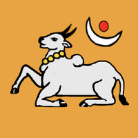 Ylpnm