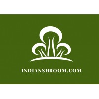 Indian Shroom Company logo - Similar company to Technified Pvt.Ltd.
