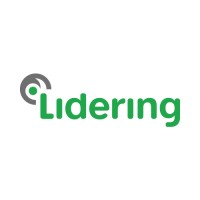 Lidering France logo - Similar company to Flowise Engineered