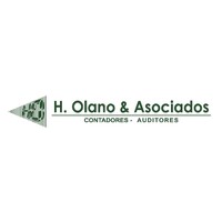H. OLANO & ASOCIADOS S.C logo - Similar company to Gy Service