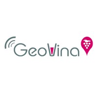 Geovina
