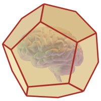 Codeball (YC W21) logo - Similar company to Gitbutler