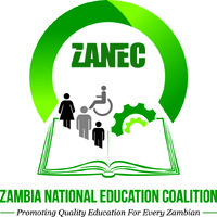 Zambia National Education Coalition logo - Similar company to Tuendelee Foundation