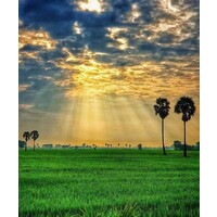 Partners Recruiting Inc. logo - Similar company to Piipul