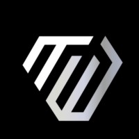 TechMore Enterprises logo - Similar company to Digifimedia