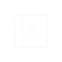 Webendio logo - Similar company to Googler Software Solutions