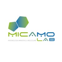 MICAMO Lab logo - Similar company to Bio3Dmatrix