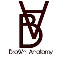 Brown Anatomy logo - Similar company to Digital Indya