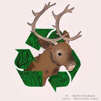Le Caribou logo - Similar company to Cifope, De La Formation À L'Expertise