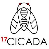 17Cicada logo - Similar company to Act Blade