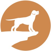 White Whiskers Aging Pet Care logo - Similar company to (Legacy Page) So Co Business Digest